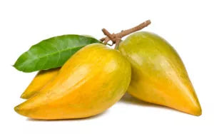 Two lucuma fruit pods with leaves