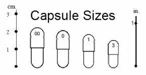 Capsule size chart with cm and inch scales beside capsule sizes 00–3