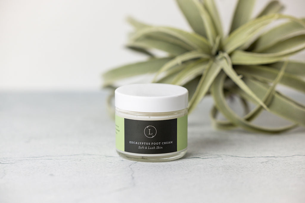 Natural cream jar with dark label beside green aloe plant leaves