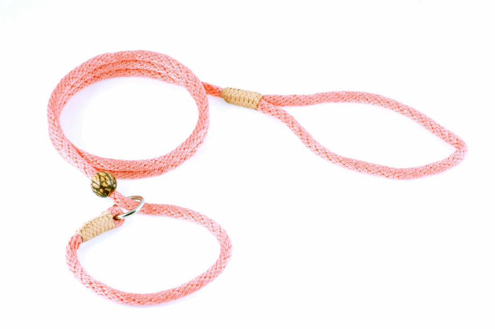 Alvalley Nylon Slip Lead With Stopper - Pet Supplies