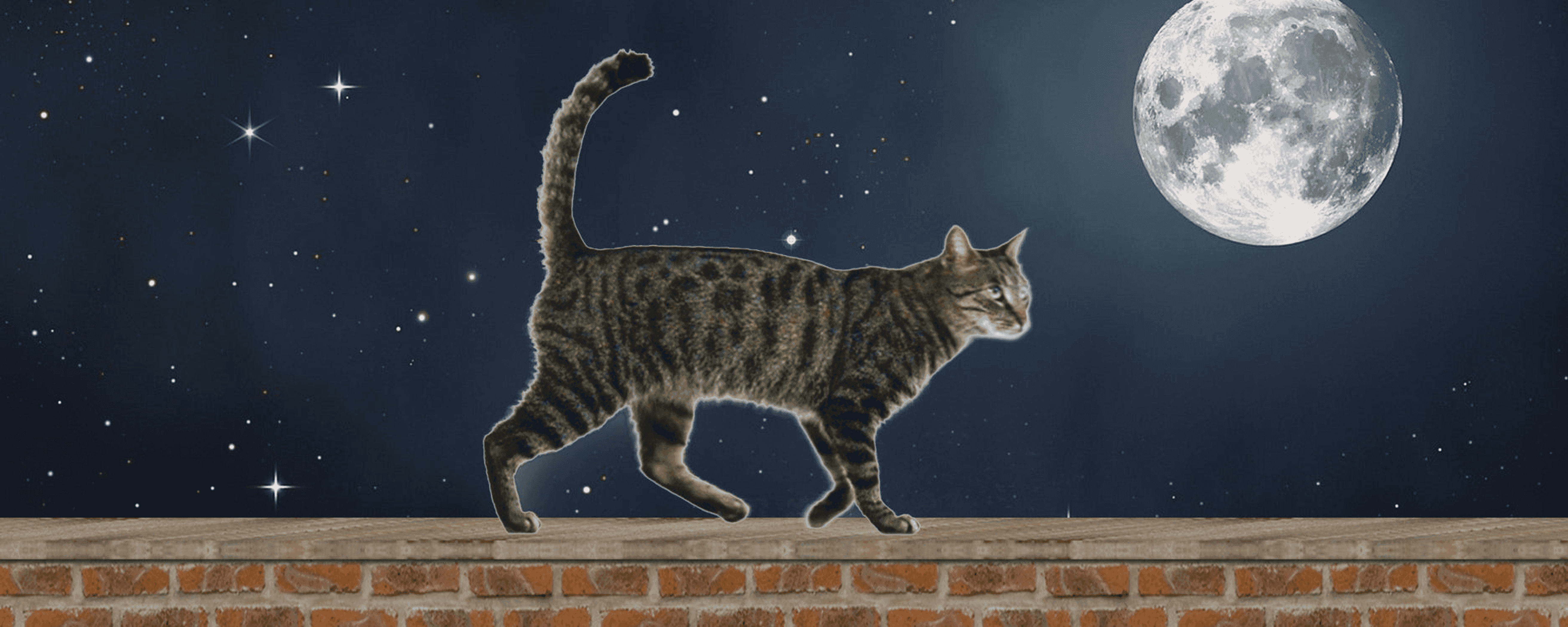 Cat walking animal art bookmark with ruler, 6 in