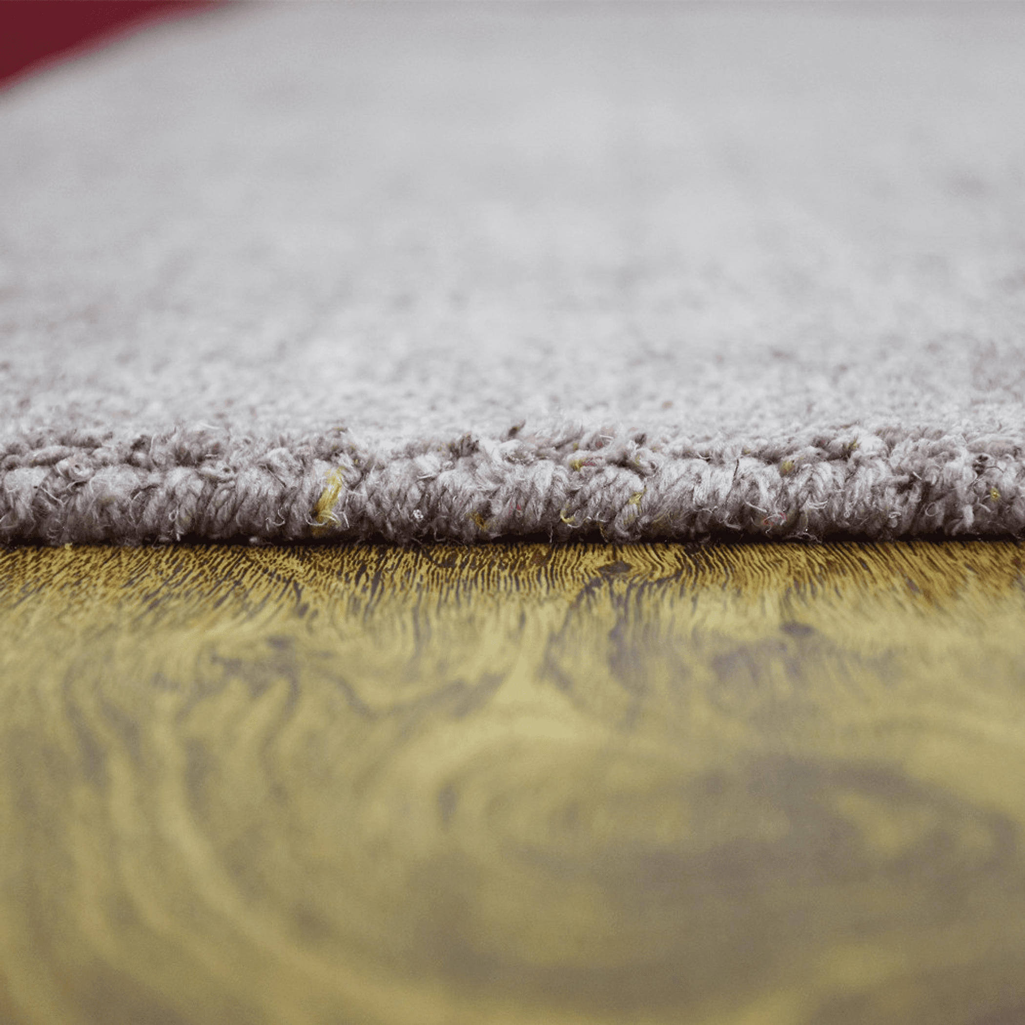 Area rug edge close-up with plush grey pile and yellow underlayer