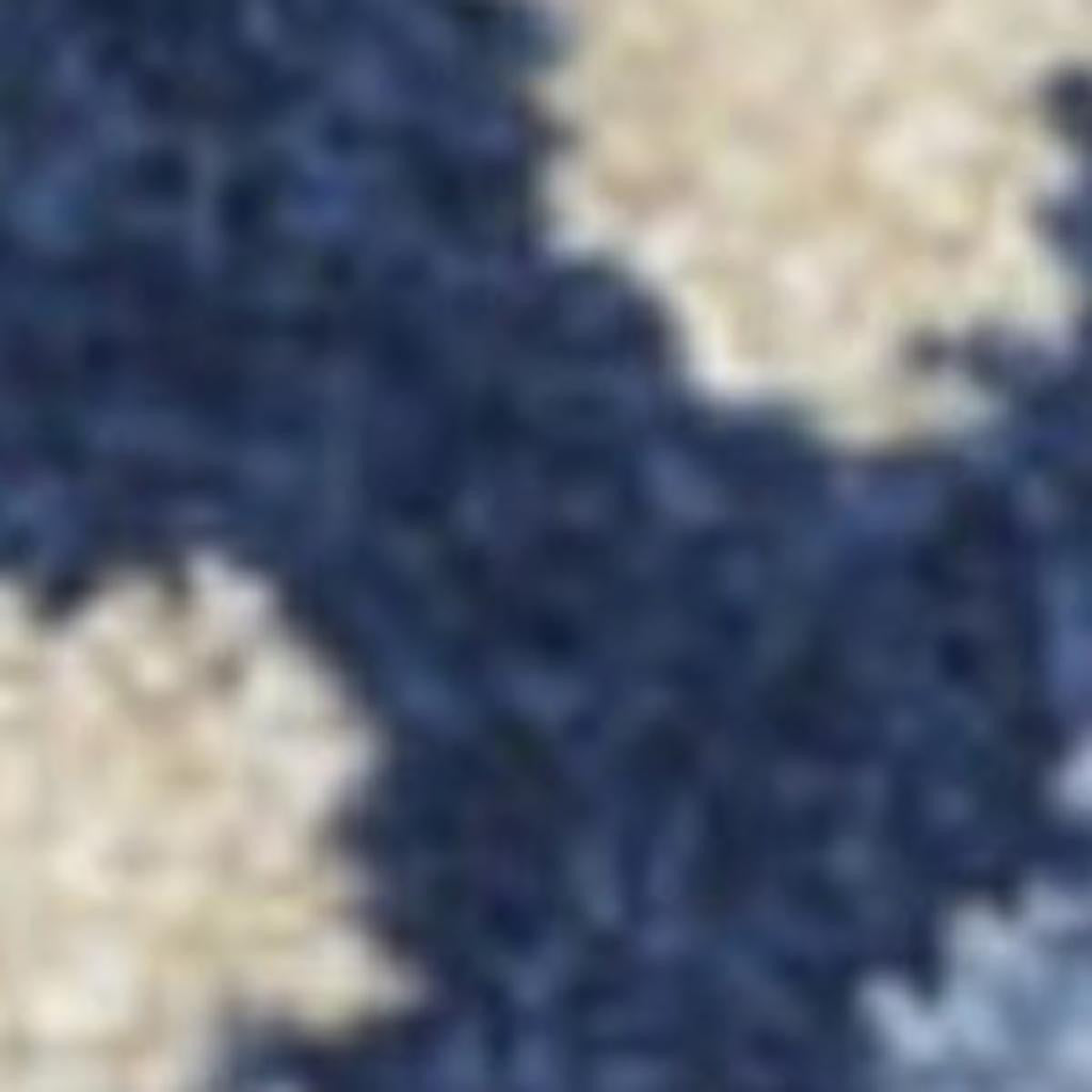 3' X 4' Blue And Gray Indoor Outdoor Area Rug - Outdoor