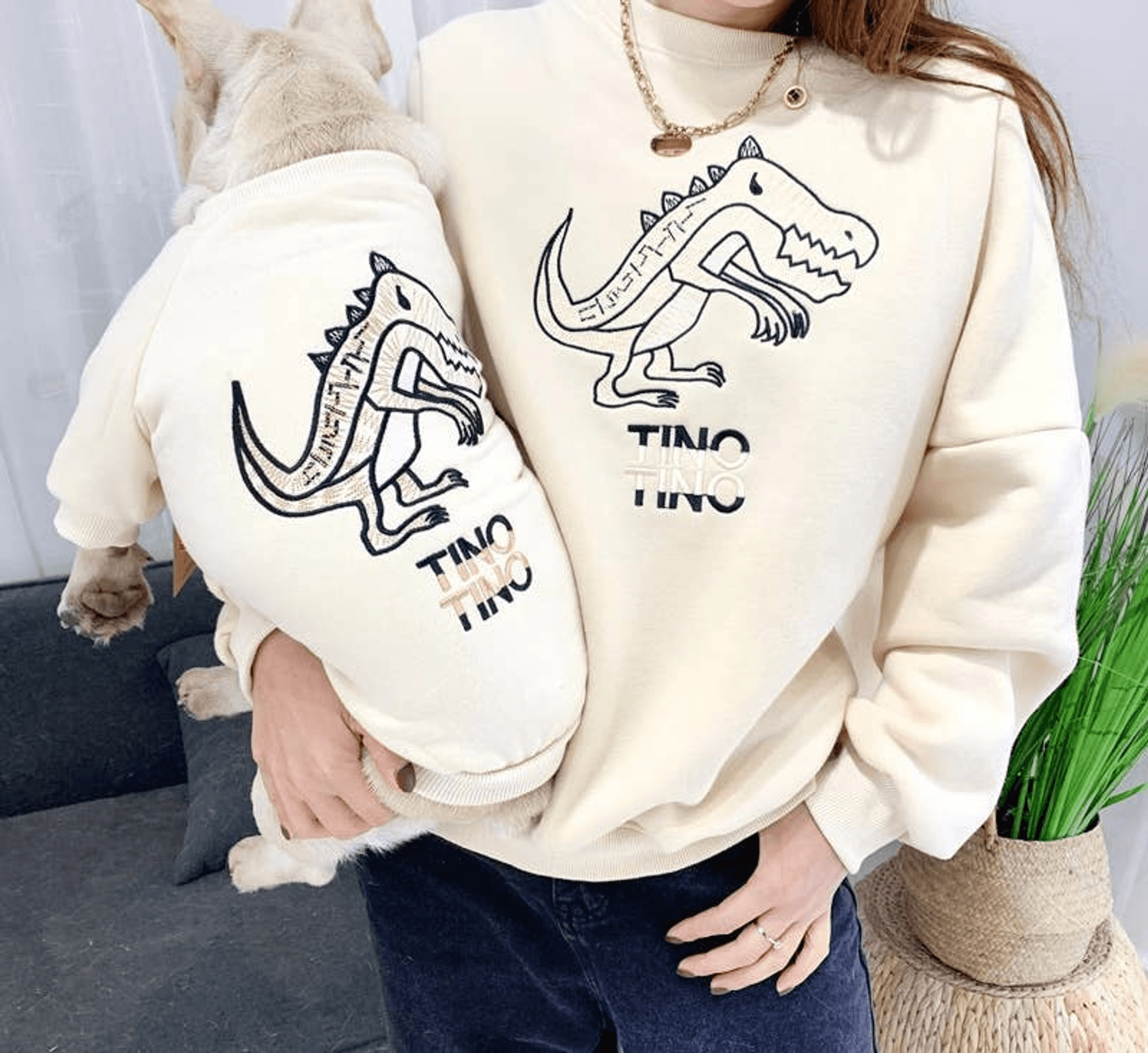 Cream matching sweatshirt and pet shirt with dinosaur artwork on front; person holding small dog