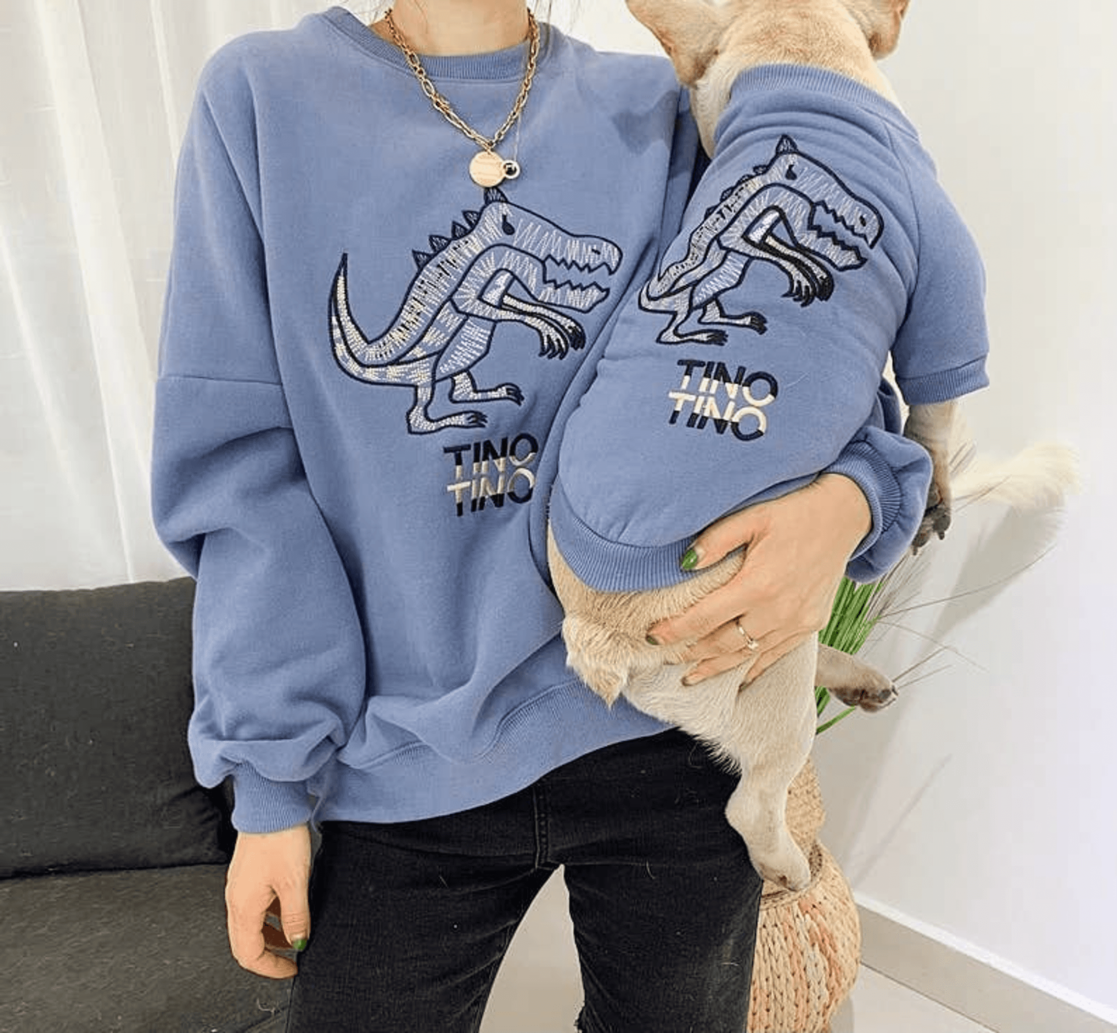 Light blue dinosaur sweatshirt with front dinosaur graphic and “TINO TINO” text