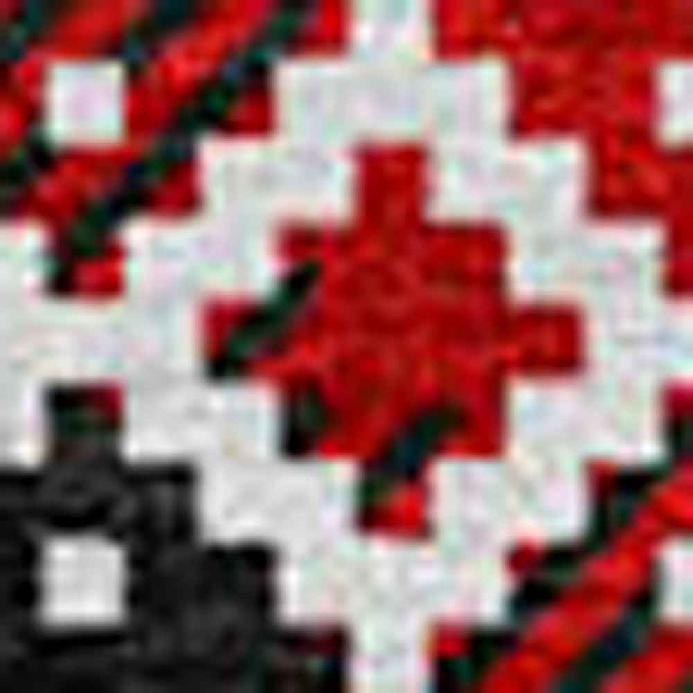 8' Red Black And Ivory Round Animal Print Washable Indoor Outdoor Area Rug