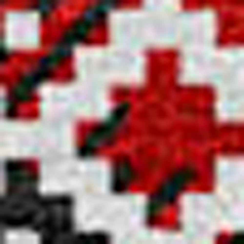 8' Red Black And Ivory Round Animal Print Washable Indoor Outdoor Area Rug