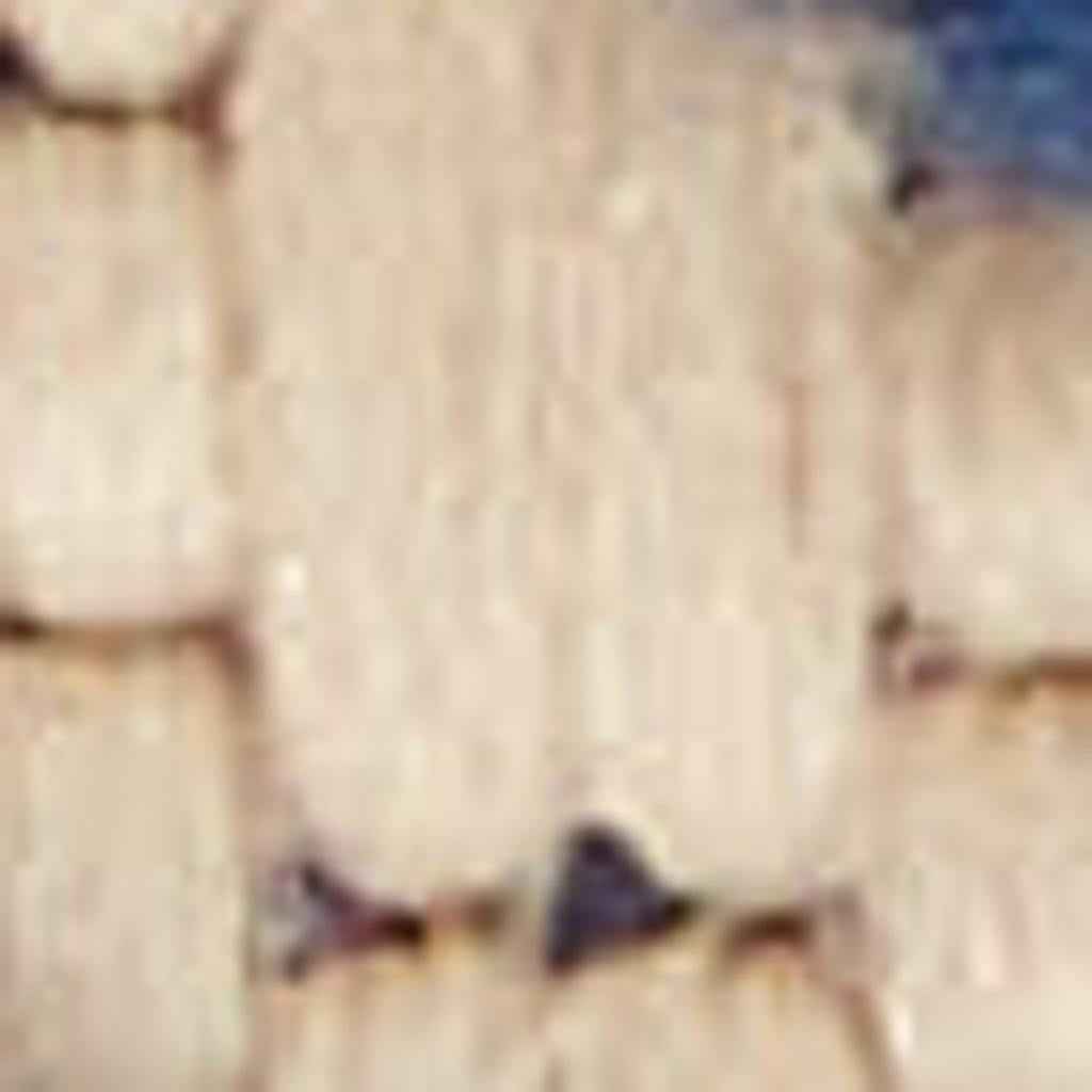 4' X 6' Ivory And Blue Indoor Outdoor Area Rug