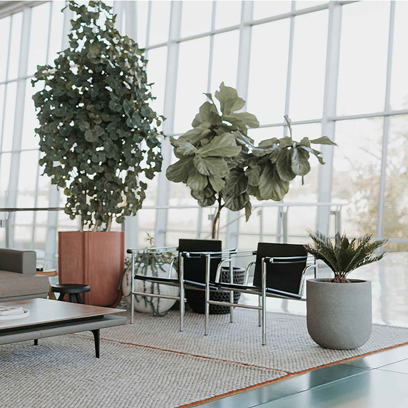 24" Silver Stainless Steel Arm Chair