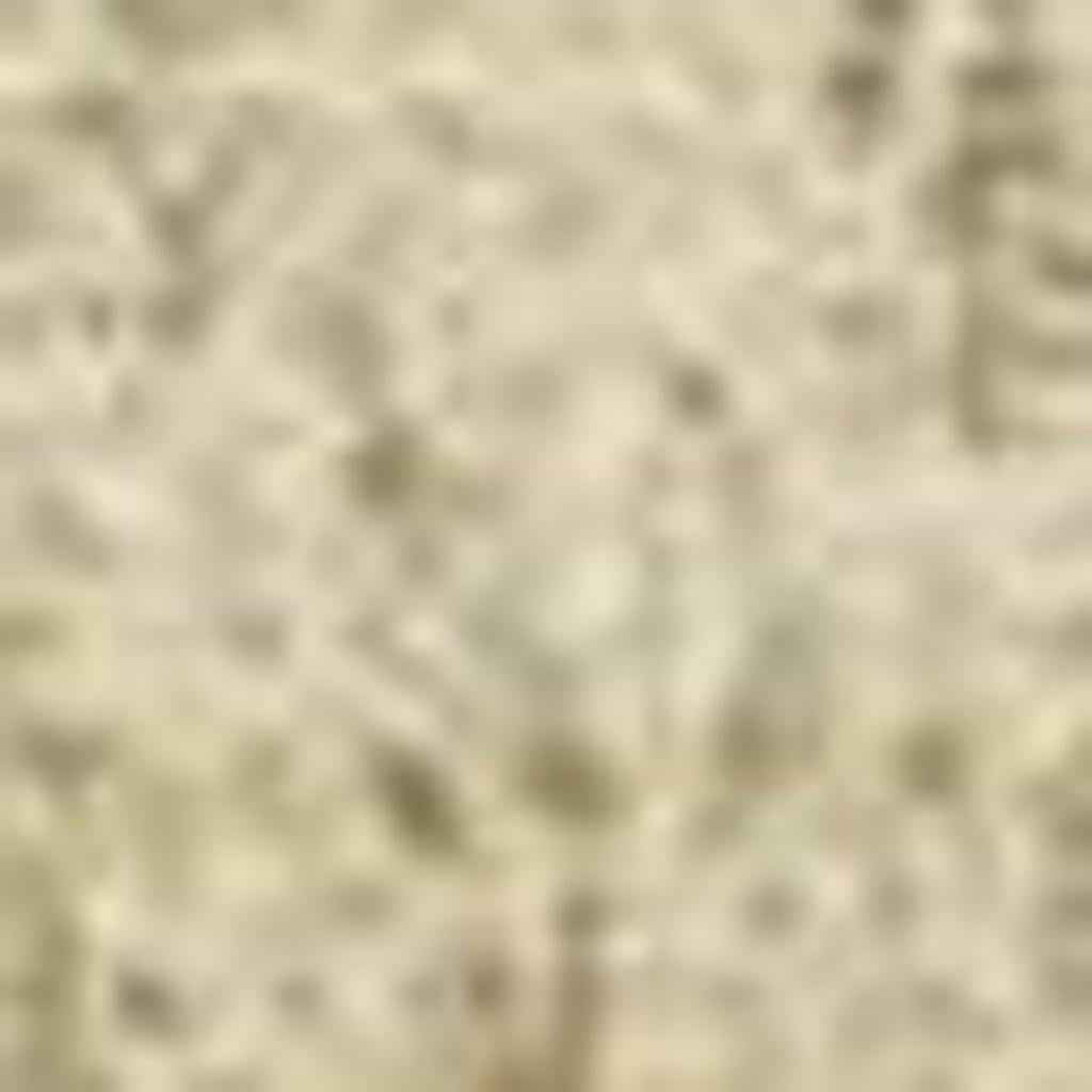 5' X 8' Gold And Wheat Ombre Washable Indoor Outdoor Area Rug