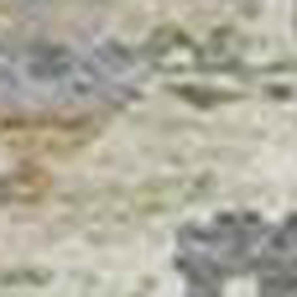 5' X 8' Artichoke Green And Beige Moroccan Washable Indoor Outdoor Area Rug