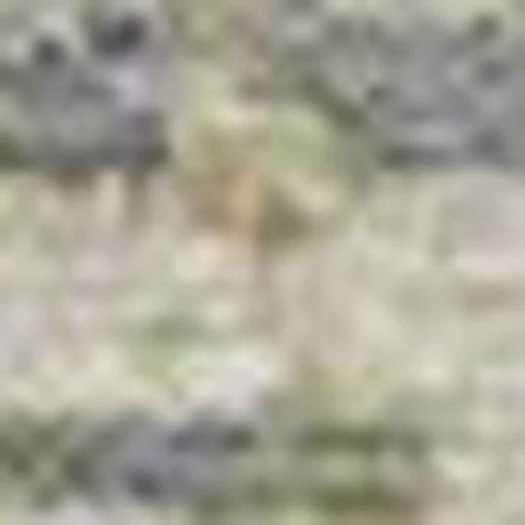 8' X 10' Artichoke Green And Beige Moroccan Washable Indoor Outdoor Area Rug