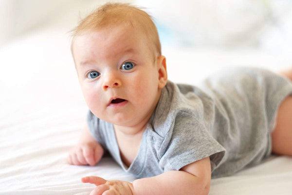 Boys Tank Tops And Pants Cs_0382s - White/Grey / Large - Infant Wear