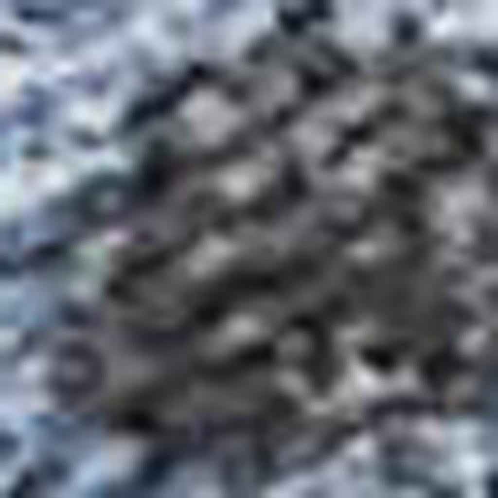 3' X 5' Denim Blue And Beige Floral Washable Indoor Outdoor Area Rug