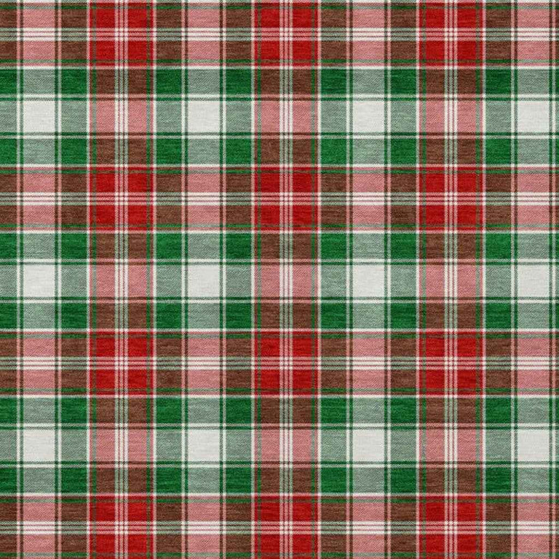 10' X 14' Emerald Red And White Plaid Washable Indoor Outdoor Area Rug