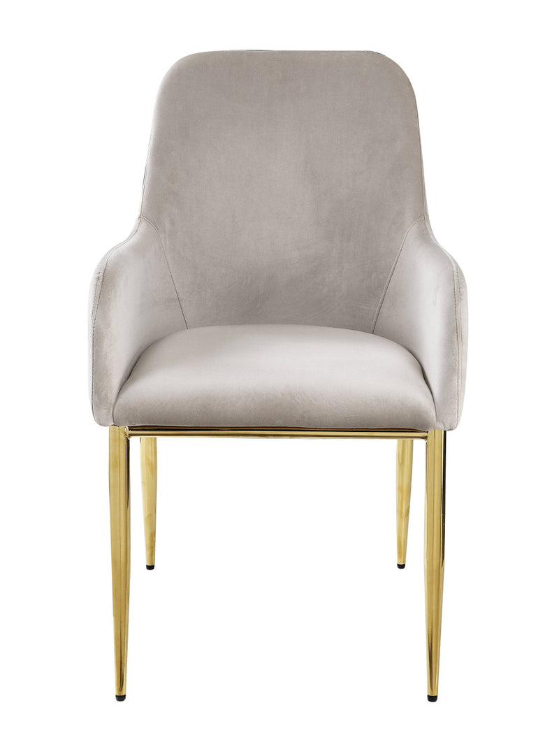 Set of Two Gray and Gold Velvet And Wood and Metal Dining Side Chairs - Kitchen & Dining