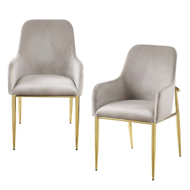 Set of Two Gray and Gold Velvet And Wood and Metal Dining Side Chairs - Kitchen & Dining