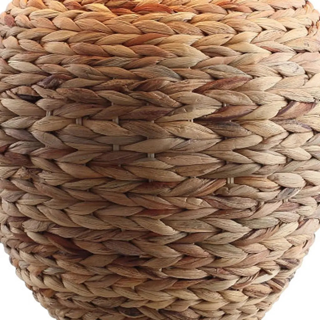 25" Clear Urn Table Lamp With Globe Shade Homeroots Lighting