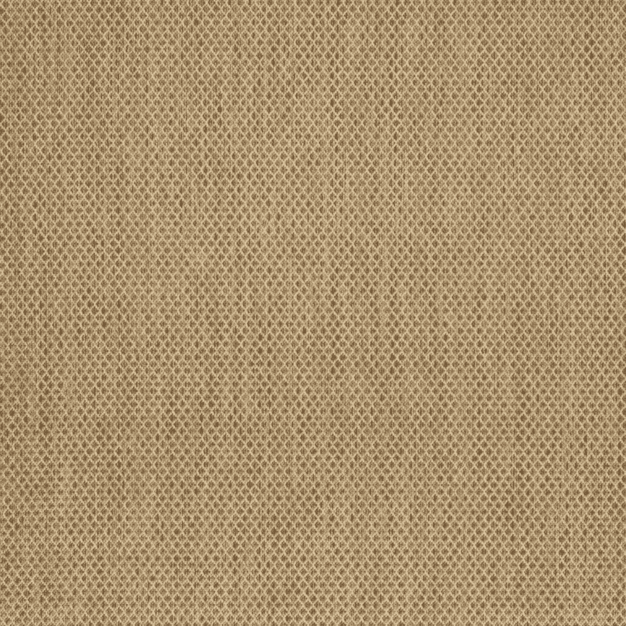 10' X 14' Tan Geometric Indoor Outdoor Area Rug Sports & Outdoor