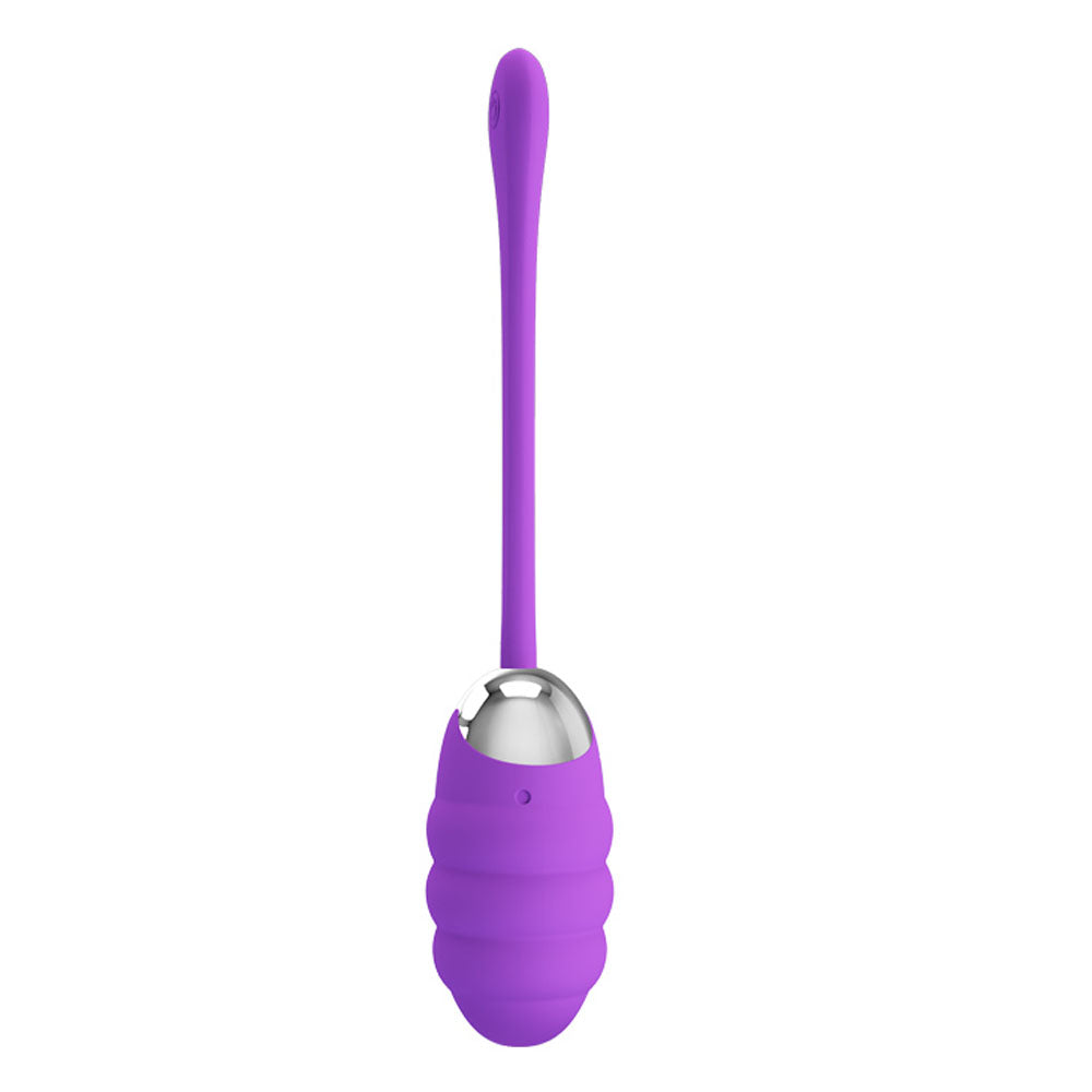 Pretty Love Franklin Rechargeable Egg Vibe - Purple - GreatEagleInc