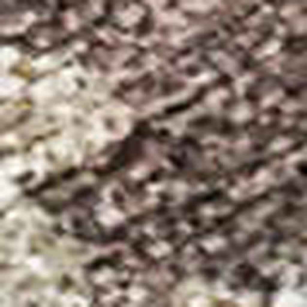 3' X 5' Chocolate Beige And Blue Floral Washable Indoor Outdoor Area Rug