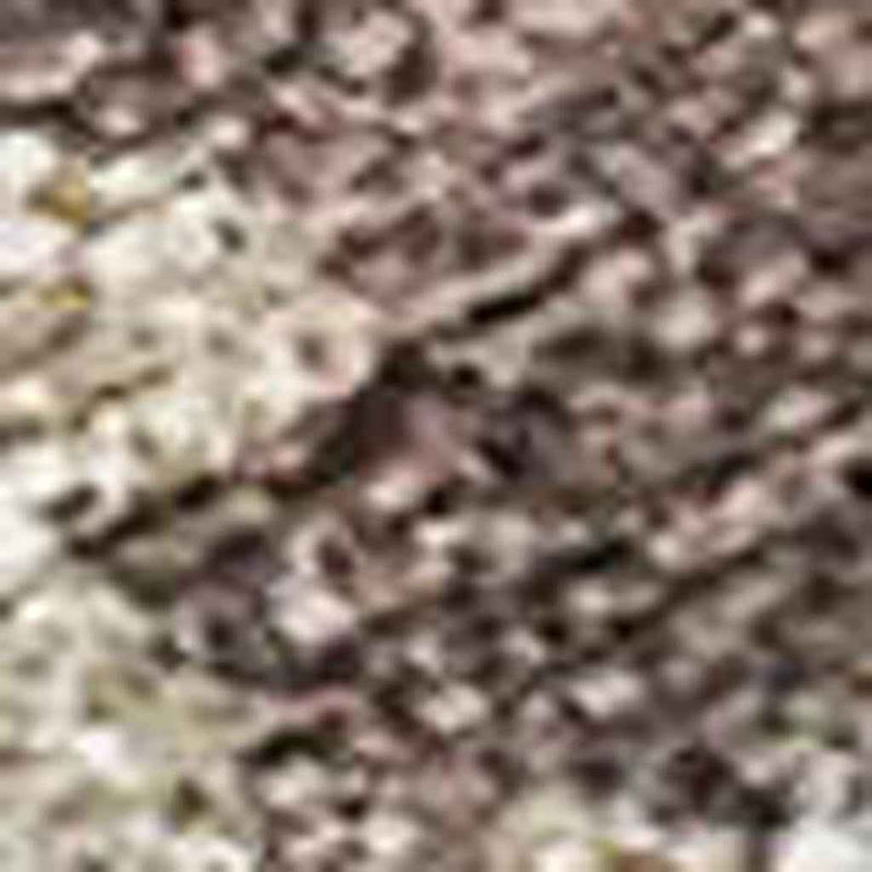 3' X 5' Chocolate Beige And Blue Floral Washable Indoor Outdoor Area Rug