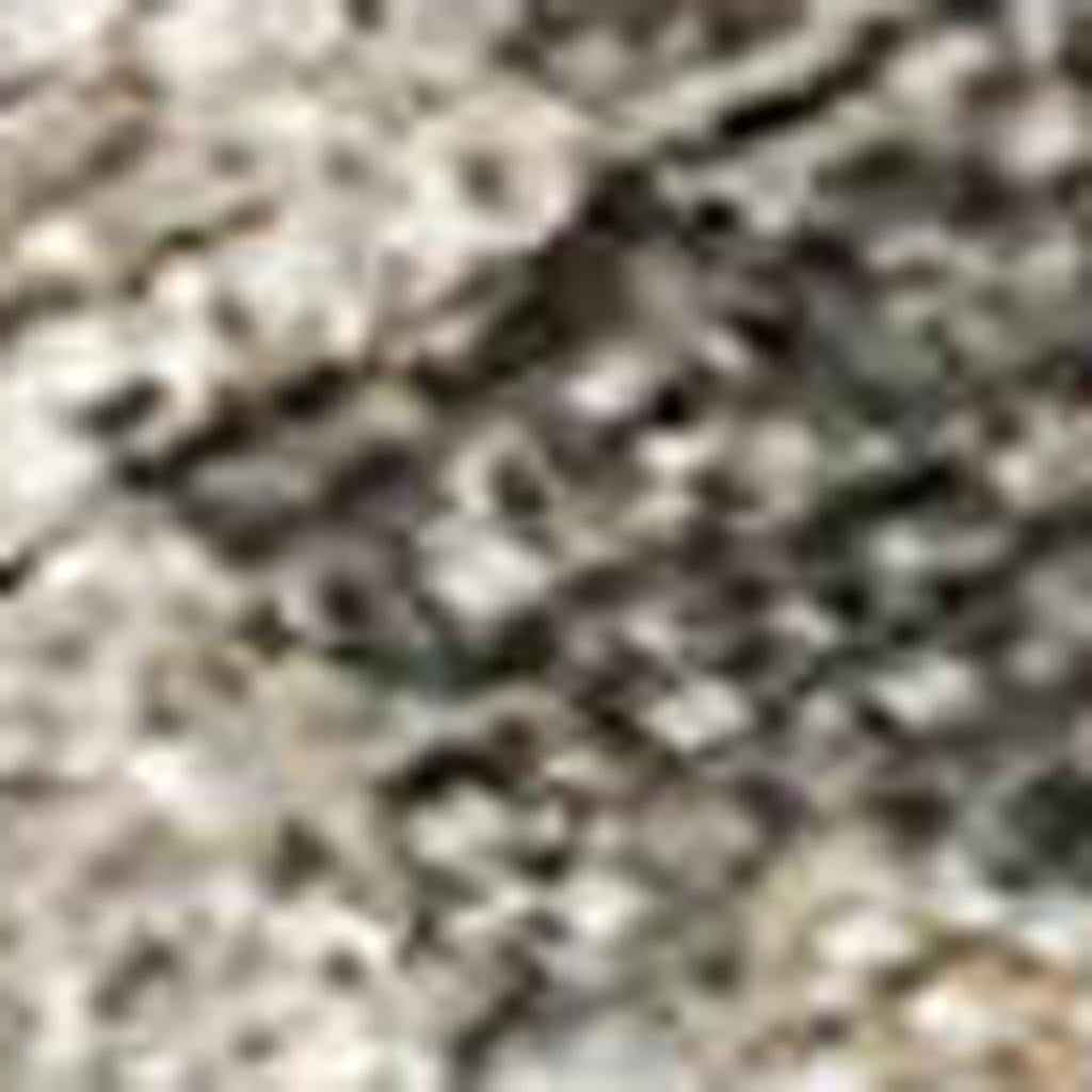 3' X 5' Gray Beige And Blue Floral Washable Indoor Outdoor Area Rug