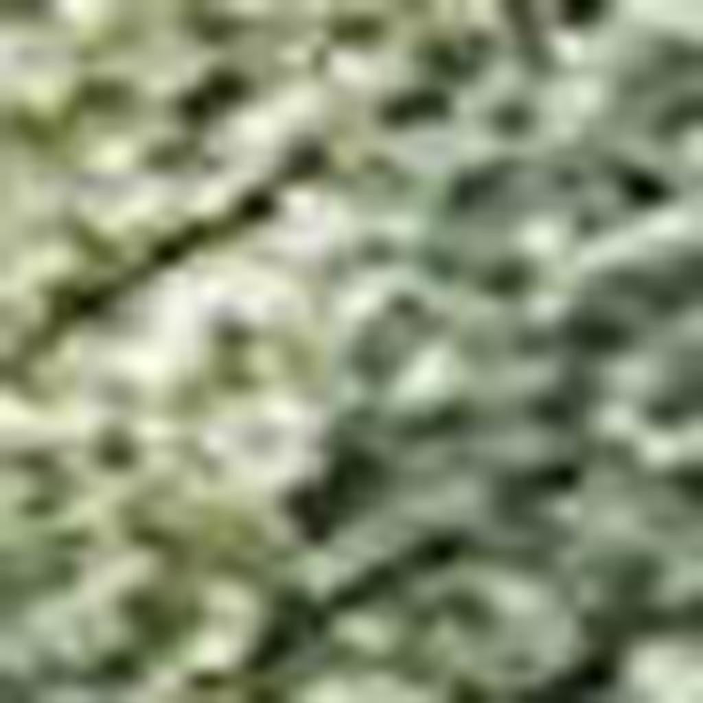5' X 8' Fern Green And Ivory Abstract Washable Indoor Outdoor Area Rug - Sports & Outdoor