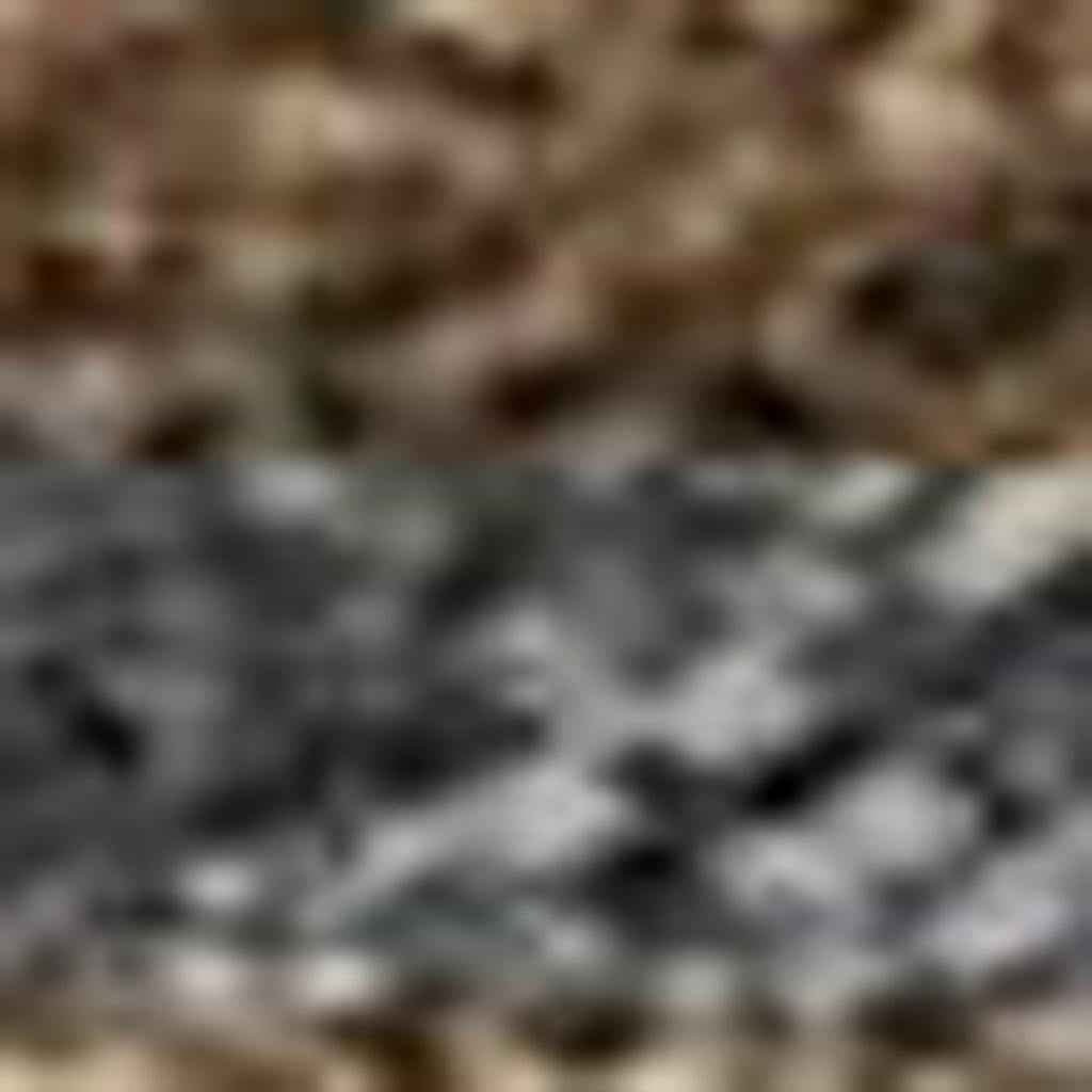 9' X 12' Chocolate Gray And Beige Seashell Washable Indoor Outdoor Area Rug