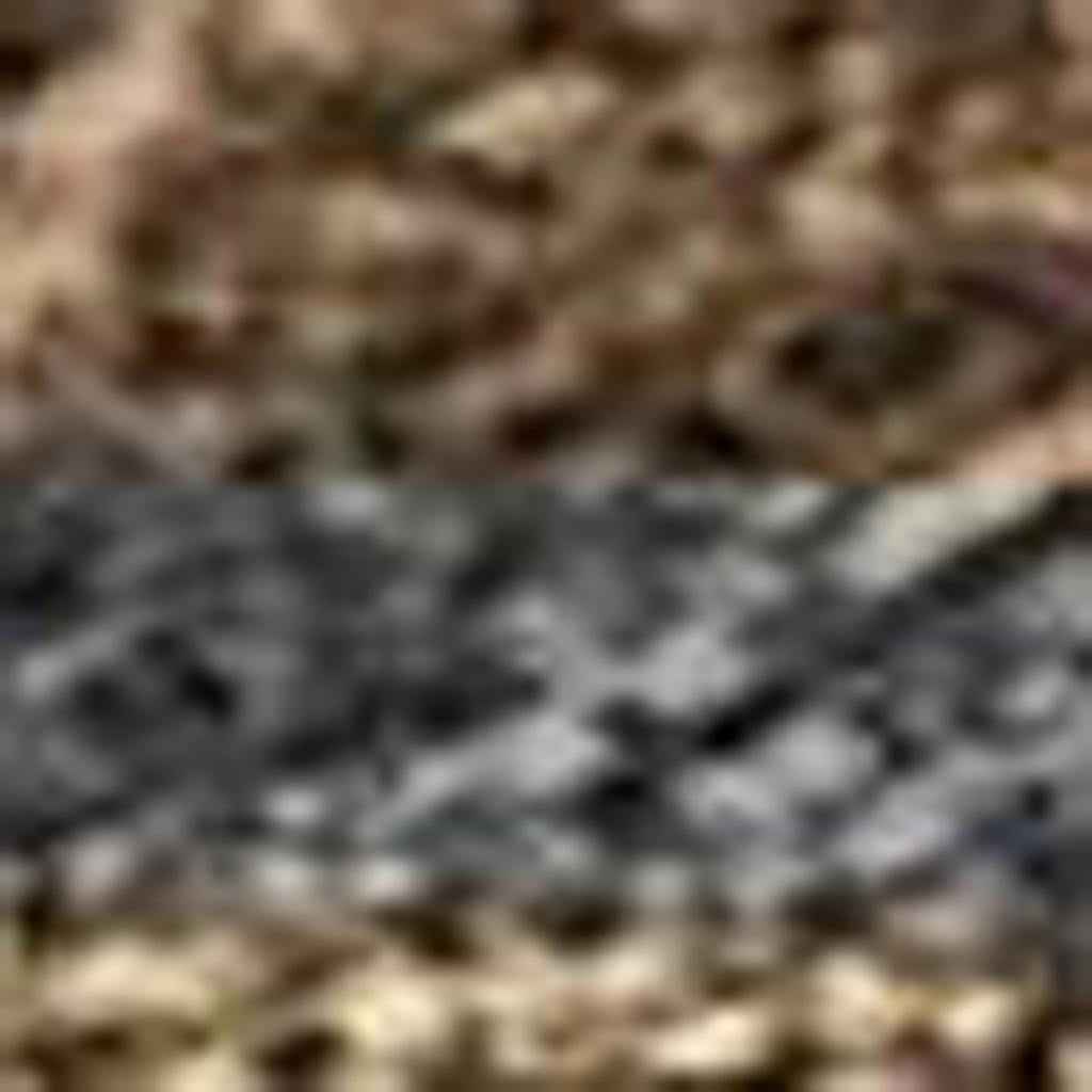 9' X 12' Chocolate Gray And Beige Seashell Washable Indoor Outdoor Area Rug