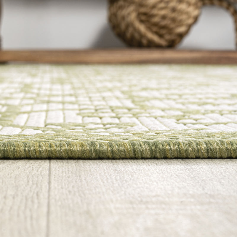 Indoor-outdoor area rug edge view, textured cream ground with green fringe