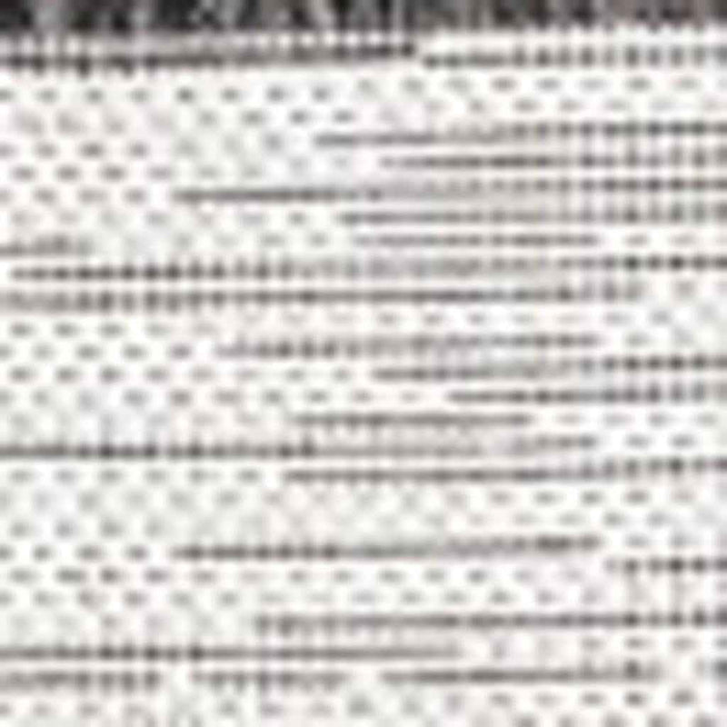 6' Ivory And Black Square Striped Indoor Outdoor Area Rug