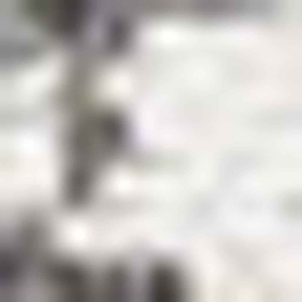 9' X 12' Black And Ivory Striped Indoor Outdoor Area Rug