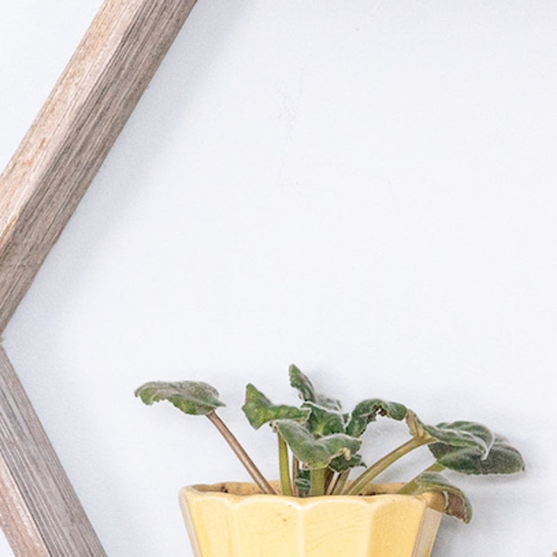 Set of Three Gray Wood Hexagon Wood Open Box Shelves - Home Decor