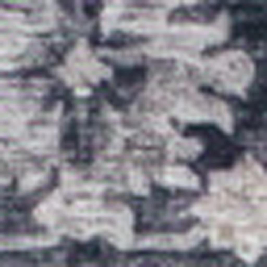 5' X 8' Black and Gray Oriental Area Rug - Home & Garden