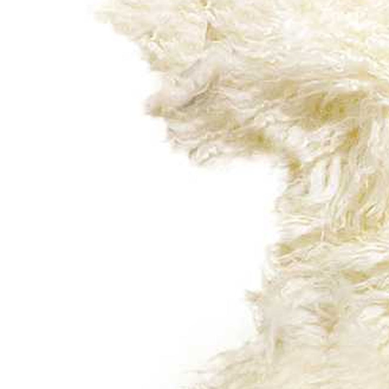 2' X 3' Natural New Zealand Sheepskin Wool Area Rug - Home & Garden