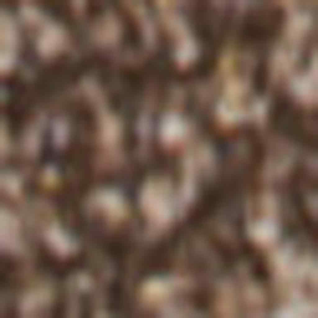 10' Brown Runner Rug - Home & Garden