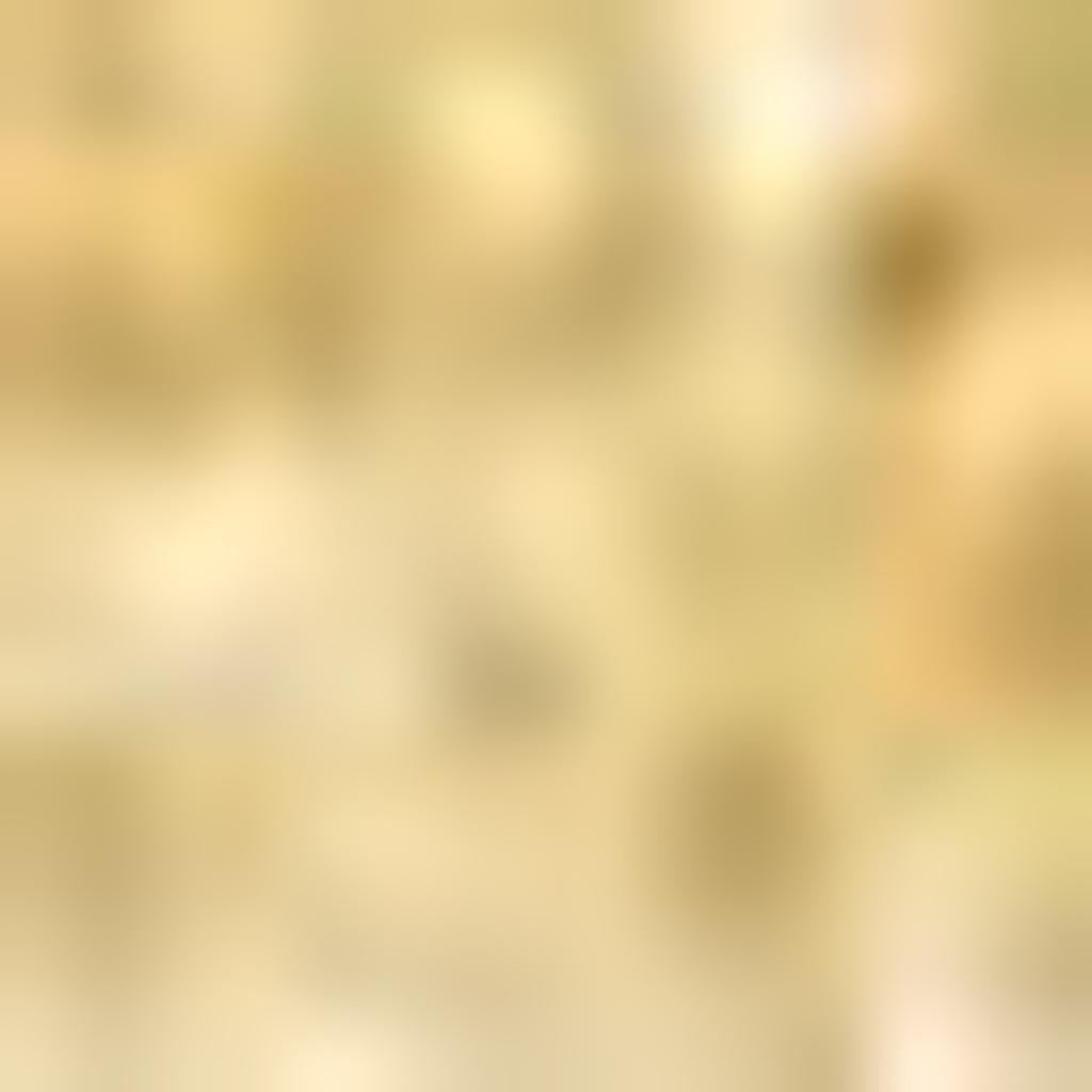3' X 5' Mustard Area Rug - Home & Garden
