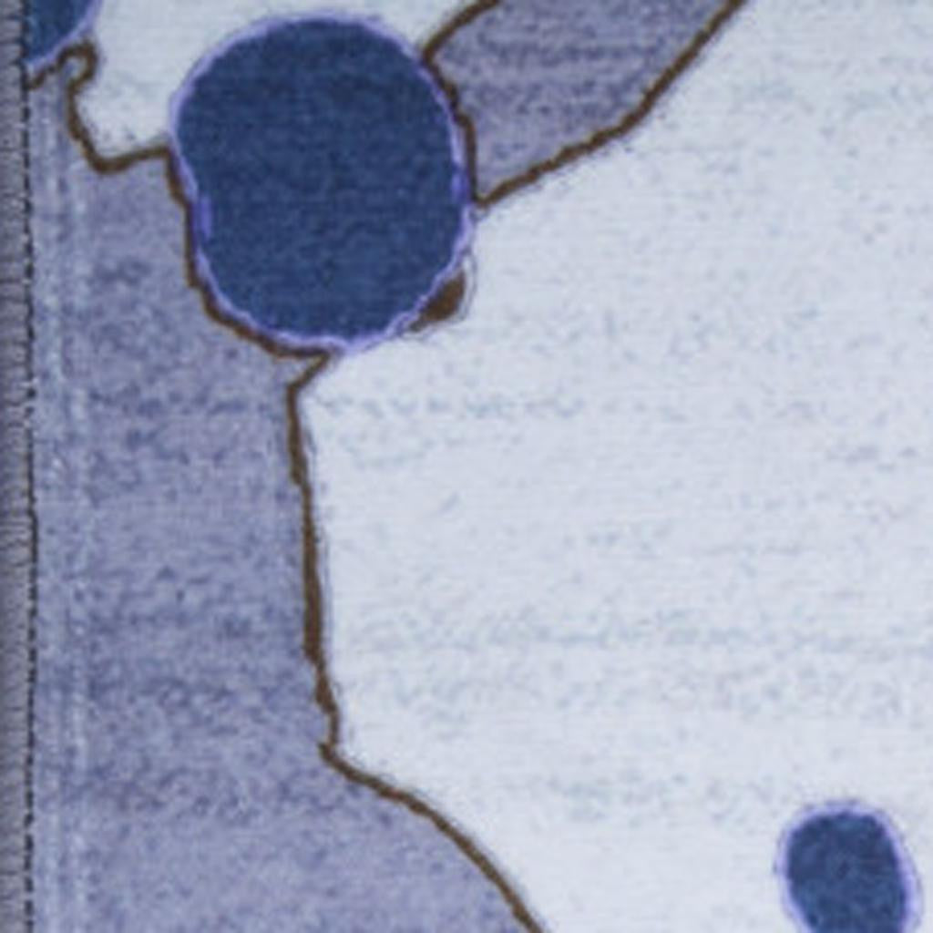 5' X 7' Blue And Gray Skateboard Youthful Washable Area Rug - Home & Garden