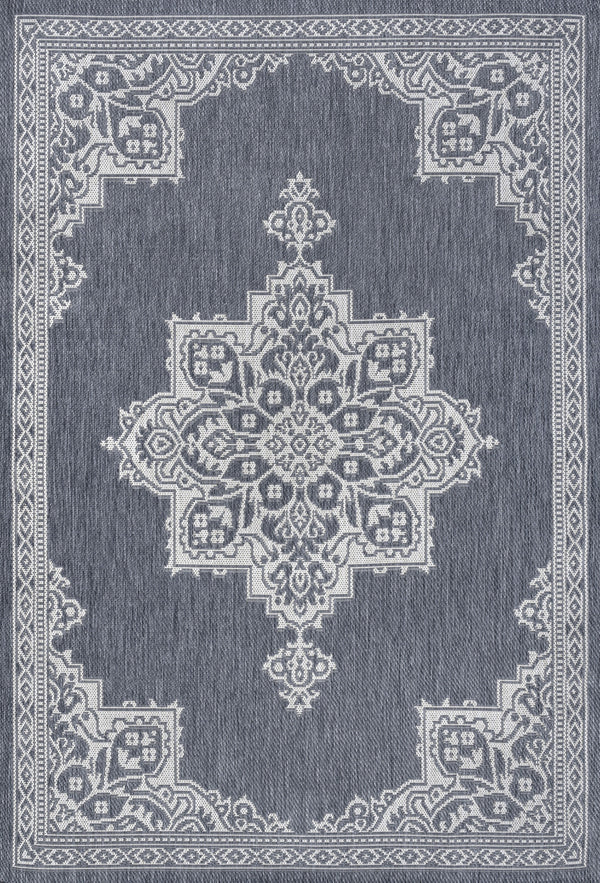 Blue and cream medallion indoor/outdoor area rug with ornate border