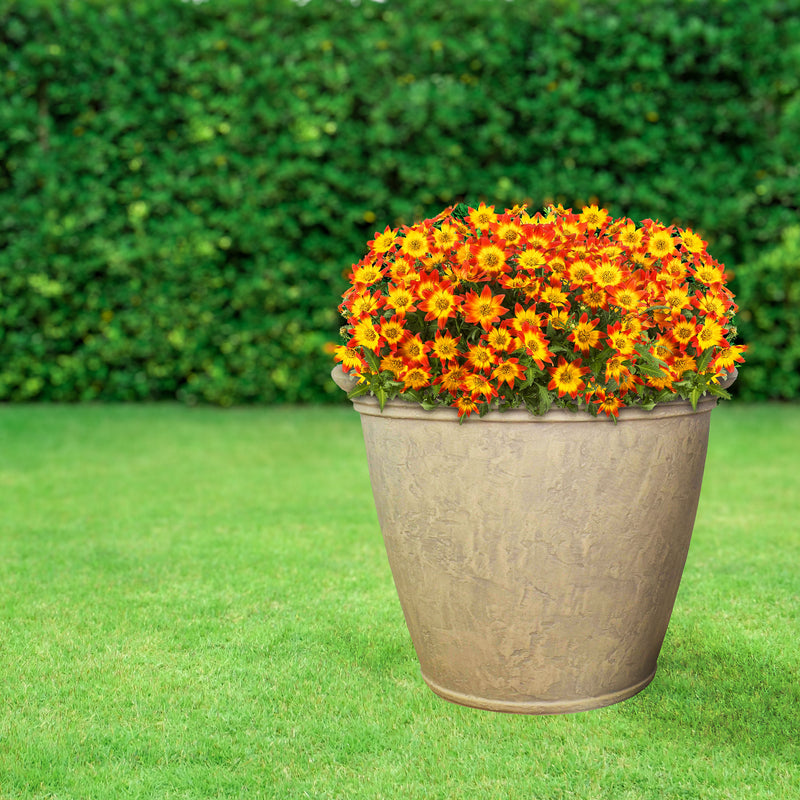 Beige round plastic planter pot holding bright flowering plants
