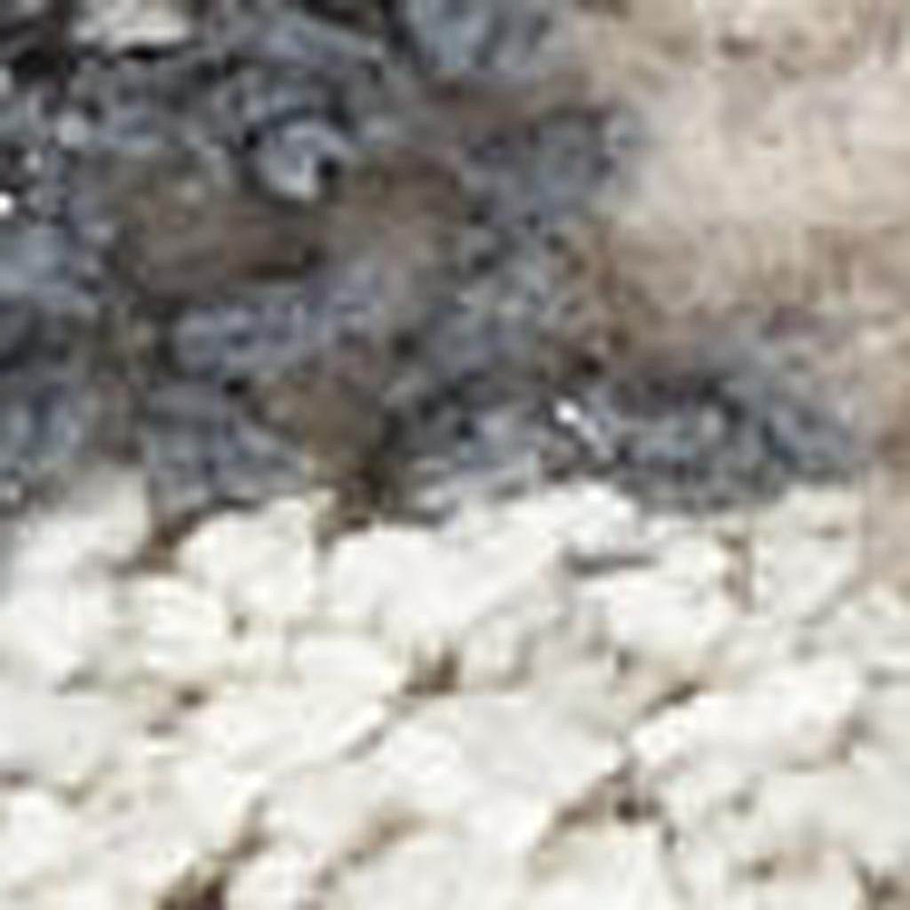 5' X 7' Ivory Gray And Charcoal Floral Distressed Non Skid Area Rug - Home & Garden
