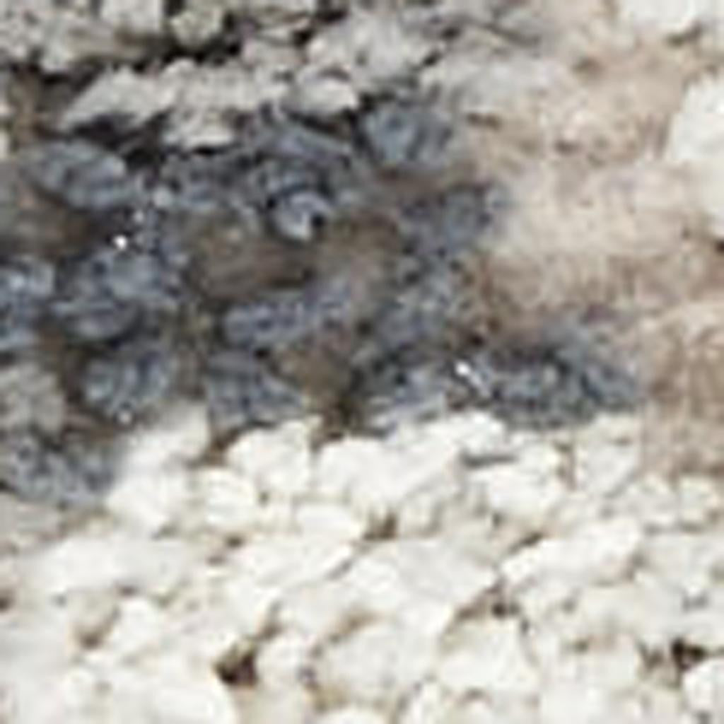 5' X 7' Ivory Gray And Charcoal Floral Distressed Non Skid Area Rug - Home & Garden