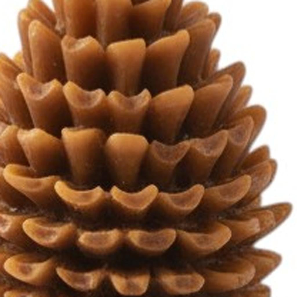 3" Brown Pumpkin And Latte Scented Dimensional Pinecone Candle - Home & Garden