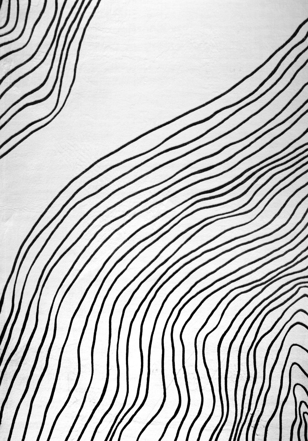 4' X 6' Black and White Abstract Area Rug - Home & Garden
