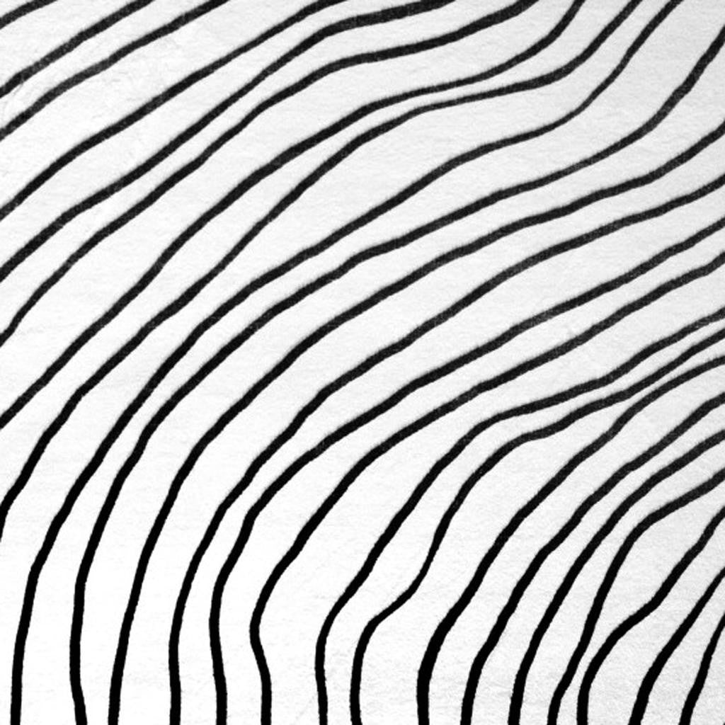 4' X 6' Black and White Abstract Area Rug - Home & Garden