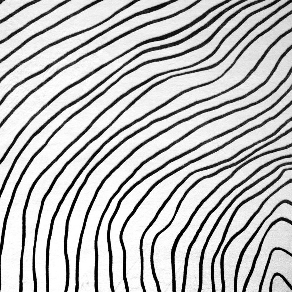 4' X 6' Black and White Abstract Area Rug - Home & Garden