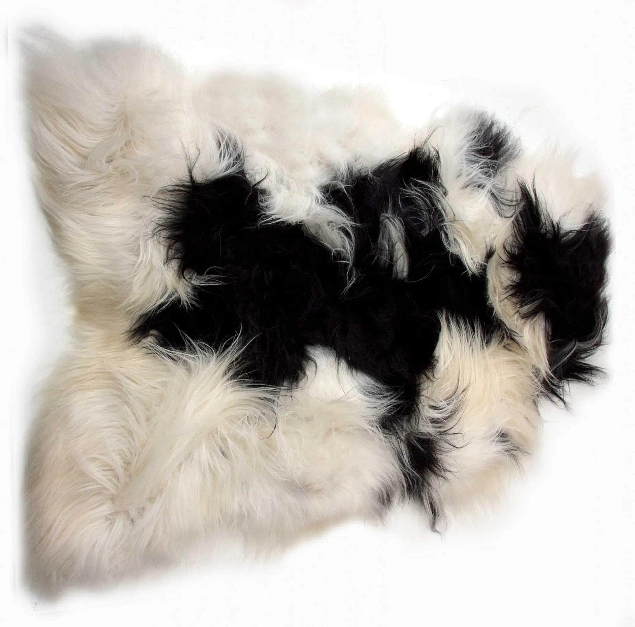 2' X 3' Black and White Spotted Sheepskin Handmade Area Rug Homeroots Home Decor