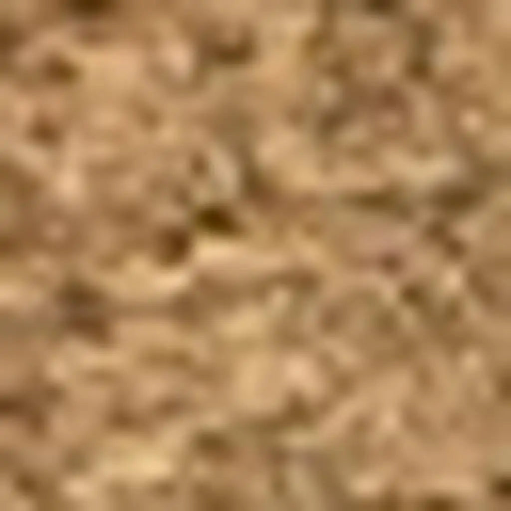 2' X 3' Light Brown Indoor Outdoor Area Rug Homeroots Outdoor