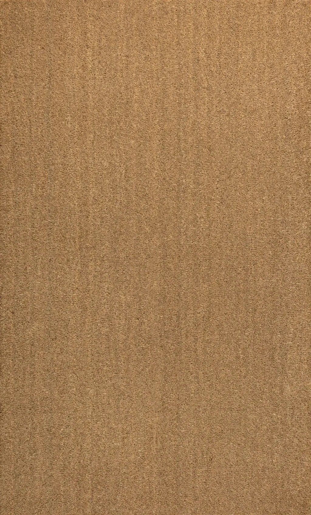 2' X 4' Light Brown Indoor Outdoor Area Rug Homeroots Outdoor